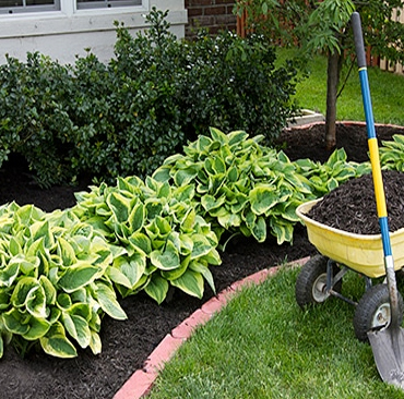 Landscape Management