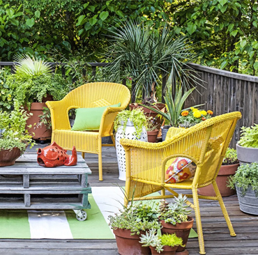 Terrace Garden & Balcony