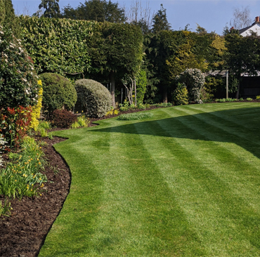 Soft Landscaping
