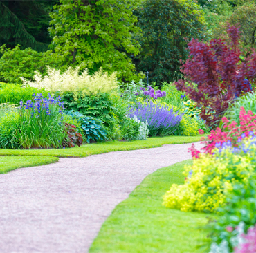 Hard Landscaping